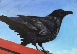 01.25.16 14 of 100 Raven